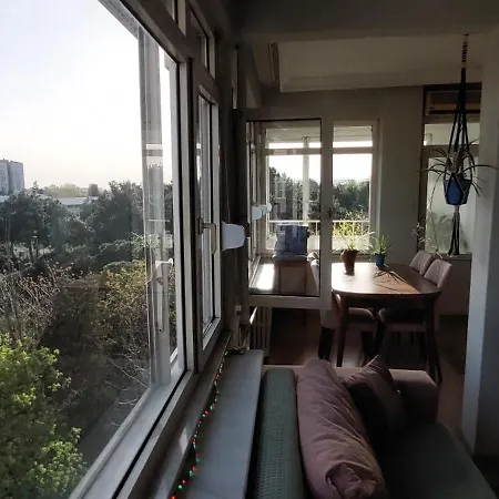 With Forest View