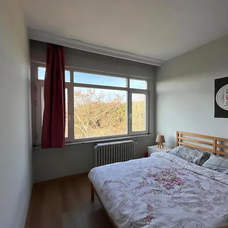 Apartment With Forest View