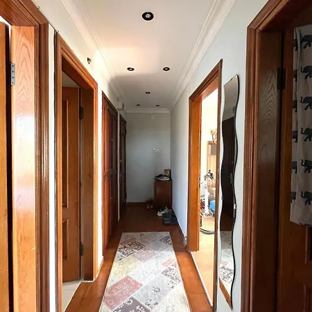 Apartman With Forest View *